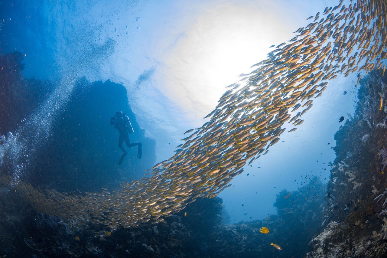08Sept_BUS_blueeconomy_APAC_Properties.jpg