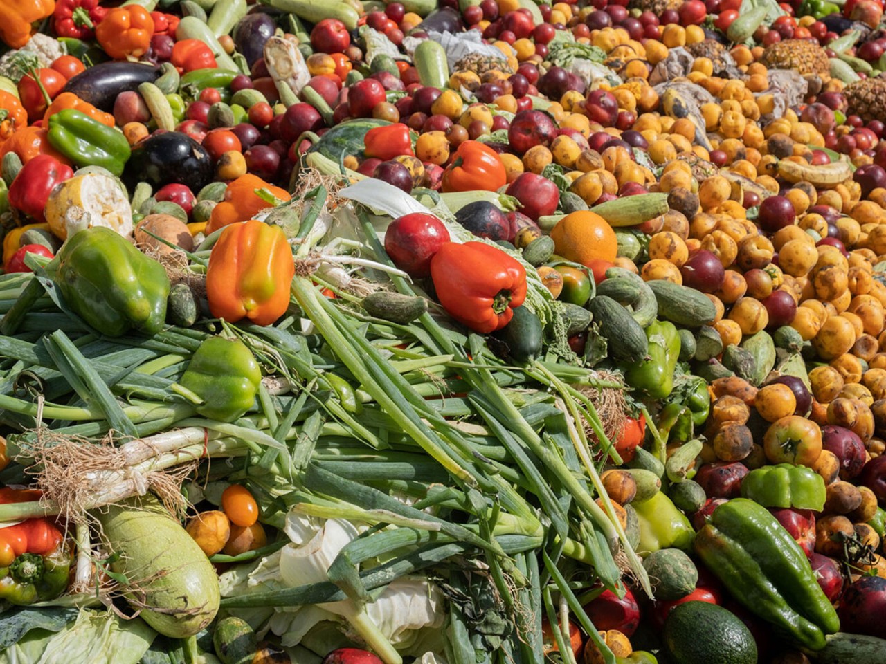 24Nov_BUS_Foodwaste_ME_properties.jpg