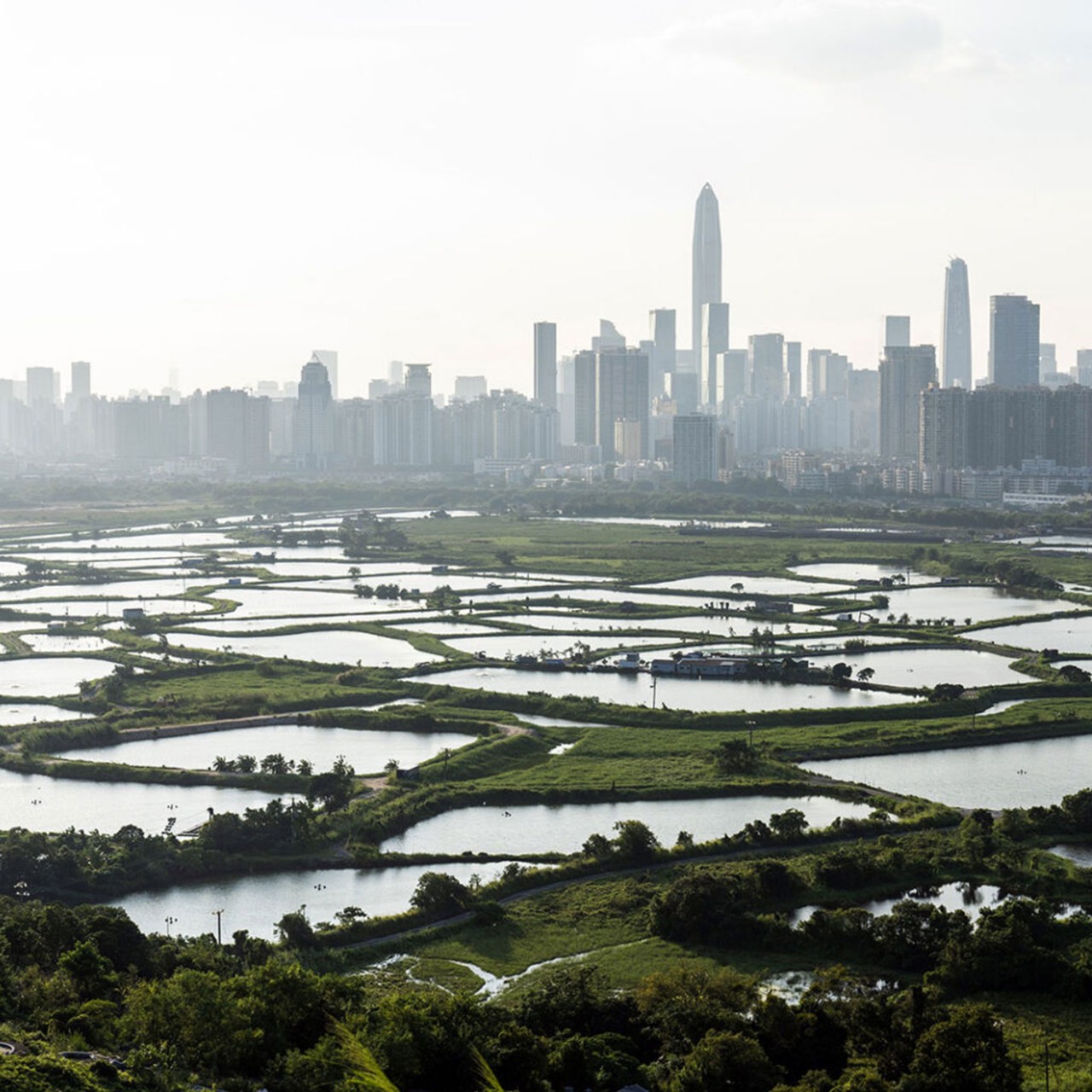 16Mar_TECH_HKBudget_APAC_properties.jpg